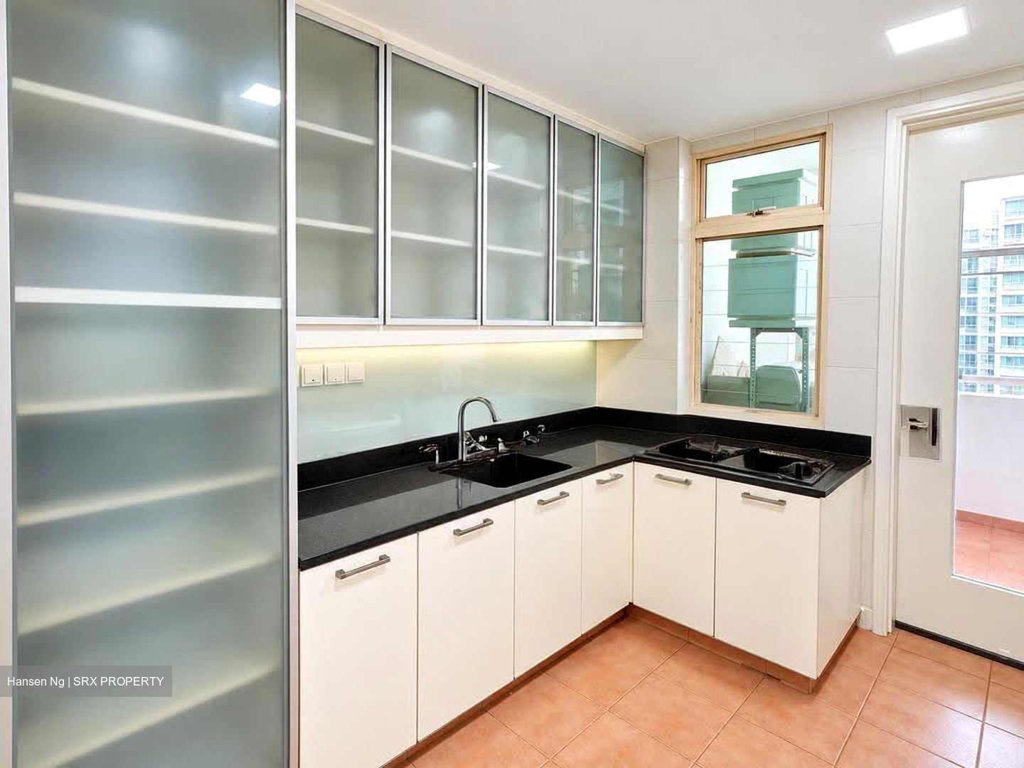 Melrose Park (D10), Condominium #626513171